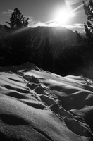 Chamrousse en raquette