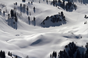 Randonnée hivernale