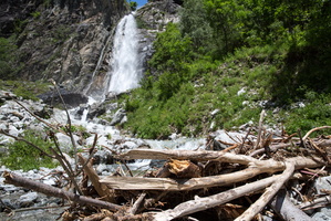 Amas de bois