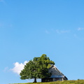 La petite maison dans la prairie