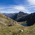 Lac de Plan Vianney